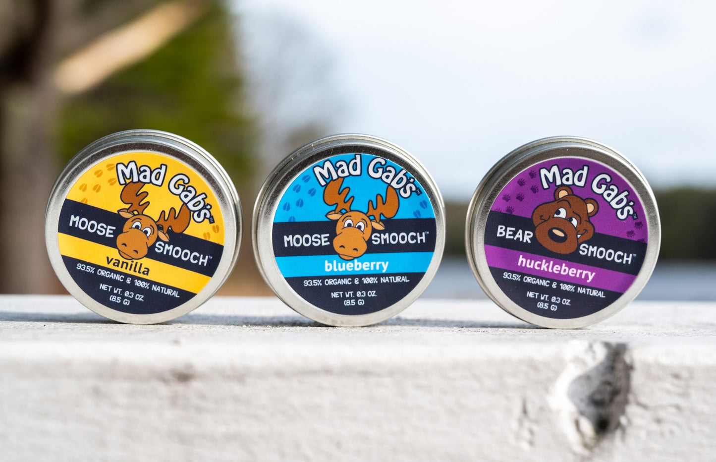 A stylized photograph of Vanilla, Blueberry and Huckleberry Moose and Bear Smooch moisturizing lip balm tins standing up on a post.