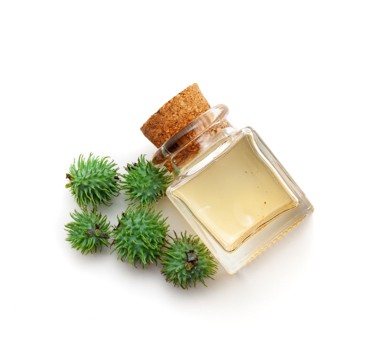 Small glass bottle with cork lid containing a yellow liquid, surrounded by green spiky plants on a white background