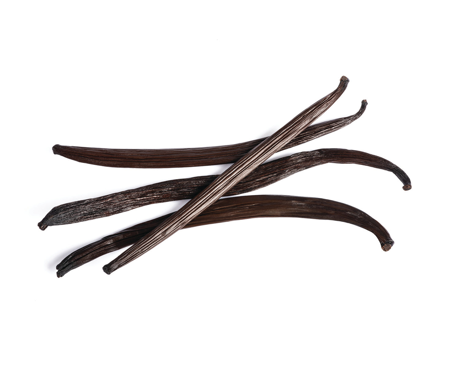 Three vanilla beans on a white background