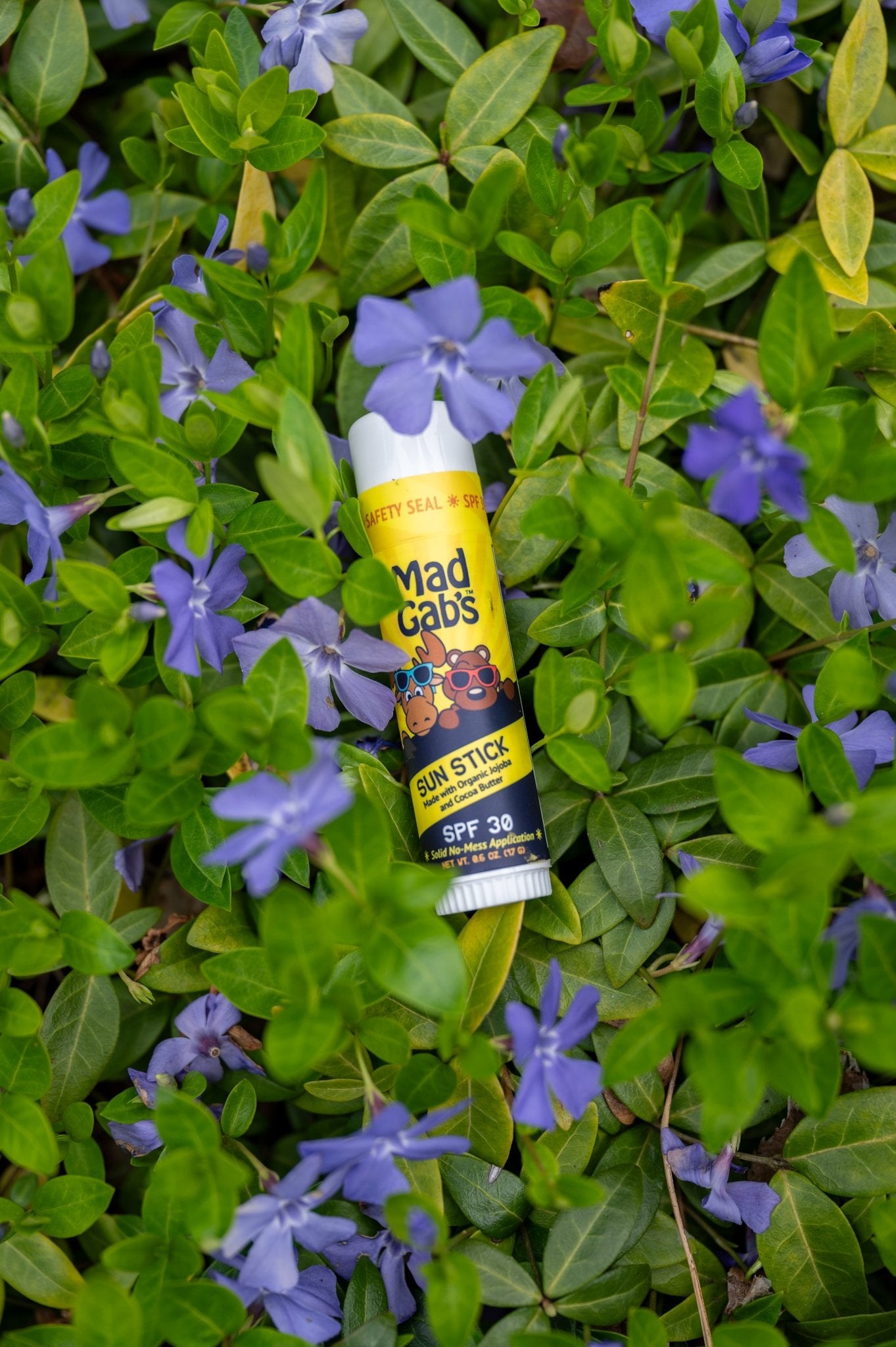 Moose and Bear Sun Stick SPF 30