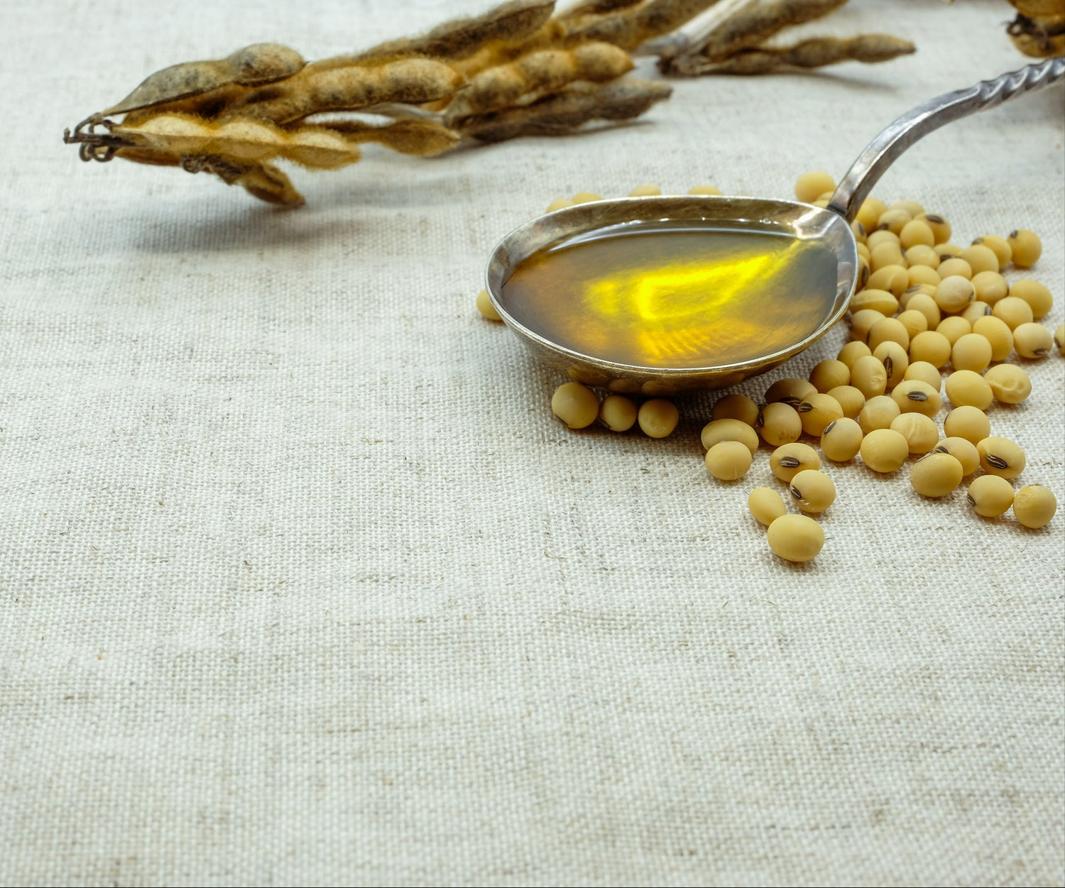 Spoon with soybean oil on a light fabric background